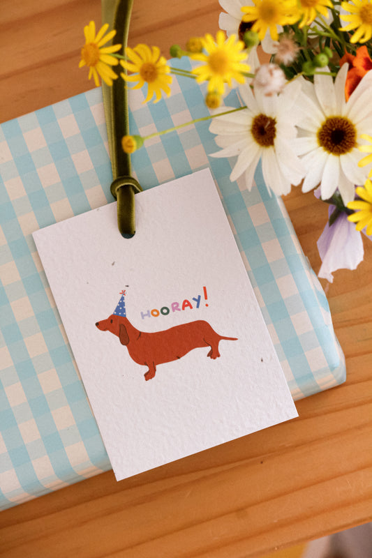 Hooray Eco-luxe Plantable Gift Tag